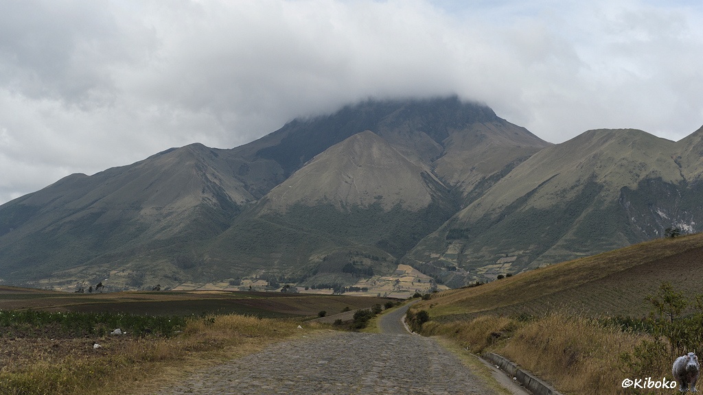 Das Bild zeigt eine schmale gepflasterte Straße, die durch Felder auf ein Bergmassiv führt. Die unteren Berghänge sind mit Wald bedeckt. Darüber ist nur noch Gras und Schotter. Der obere Teil des Berges ist felsig. Die Spitze versteckt sich hinter Wolken.
