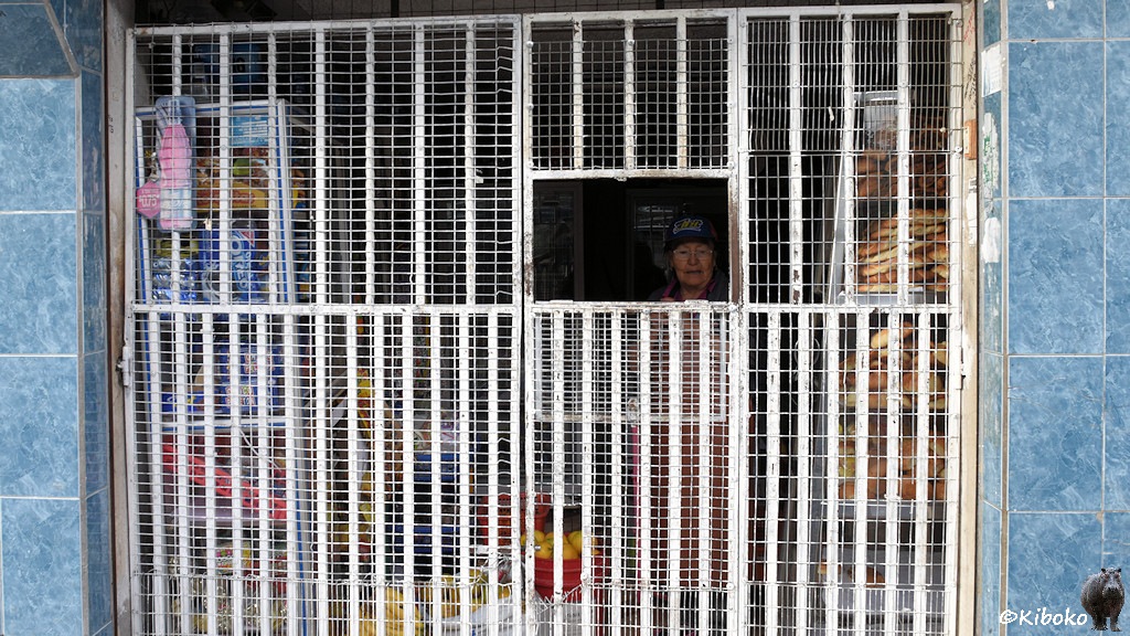 Das Bild zeigt ein enges weißes Gitter mit einer kleinen aufgeklappten Öffnung als Verkaufsthresen. Dahinter ist eine ältere Dame mit Baseballkappe zu sehen. Durch das Gitter sind in de Auslage Brote, gelbe Früchte und Kekspackungen sichtbar.