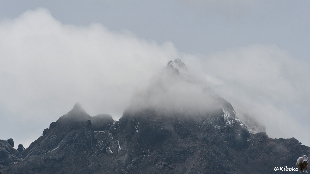 Das Bild zeigt einen Berggipfel aus dunklem Felsen. Die Spitze schaut durch einen Wolkenschleier und ist durch etwas Schnee überzuckert.