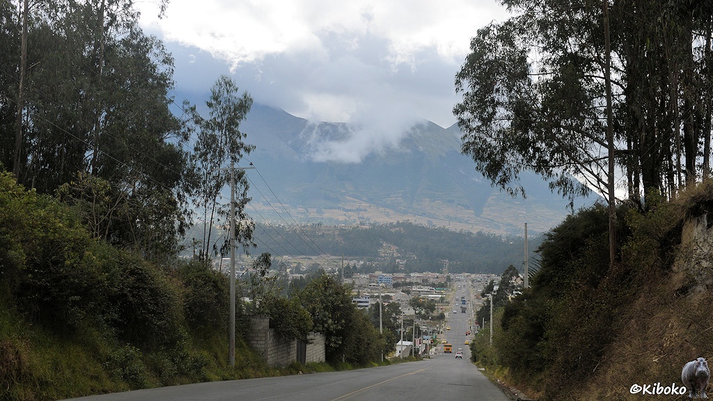 Das Bild zeigt eine abschüssige Teerstraße durch einen Einschnett. Auf beiden seiten stehen Bäume. Im Tal ist eine Ortschaft. Im Hintergrund ist ein hoher Berg, an dessen Gipfeln Wolken ziehen.