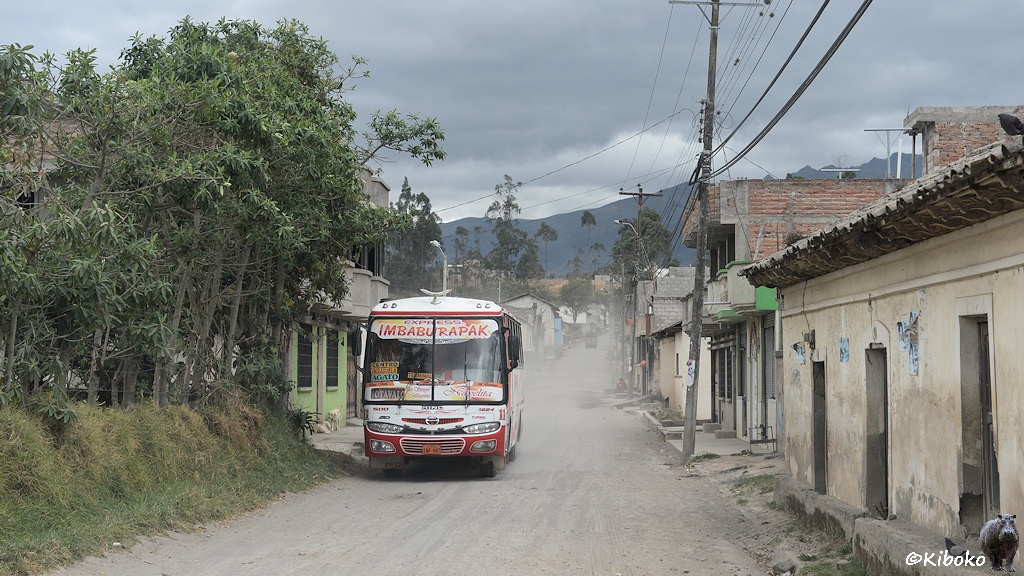 Das Bild zeigt eine staubige Schotterstraße mit einem entgegenkommenden weiß-roten Bus mit der Aufschrift: Imbaburapak. An den Seiten stehen kleine einfache Häuser und Neubauten mit unverputzten Wänden.