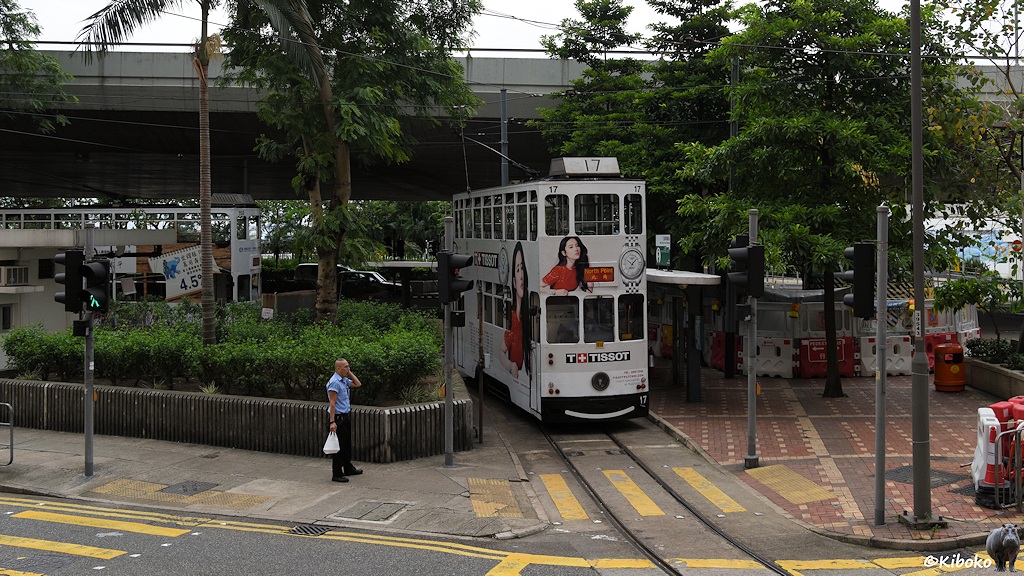 Das Bild zeigt die weiße Tram 17 in einer Wendeschleife zwischen Bäumen. Im Hintergrund ist eine Straßenbrücke.