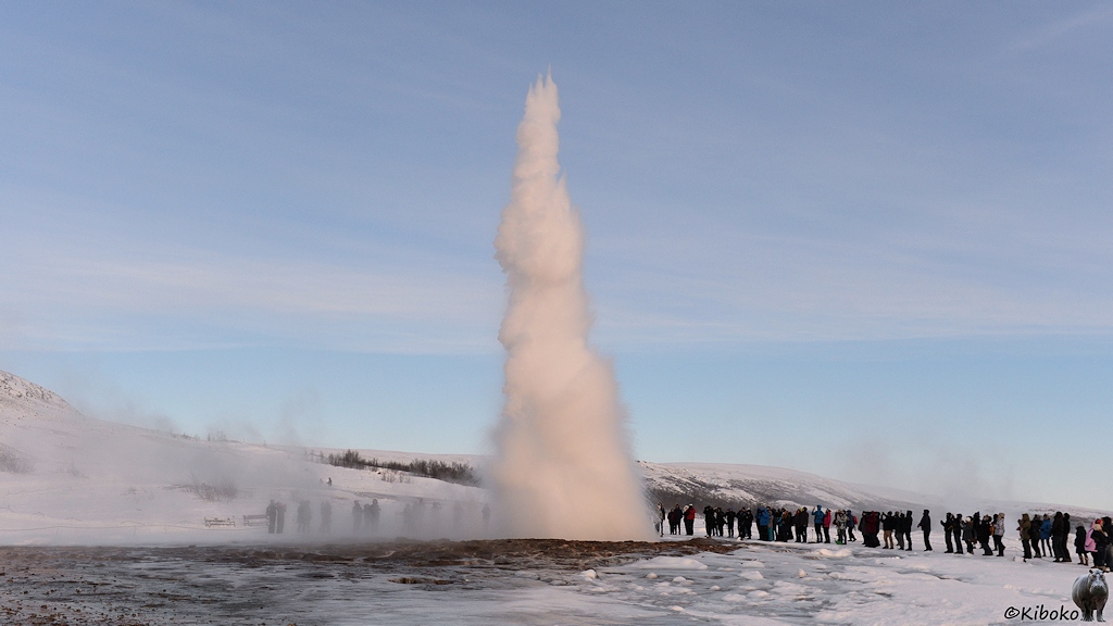 Das Bild zeigt den Ausbruch eines Geysirs mit hoher Wasserfontäne. Der Geysir ist von vielen Touristen umringt.