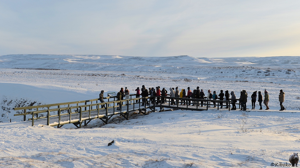 Das Bild zeigt eine hölzerne Plattform mit Holzgeländer, die rechtwinklig aus einem Hang auskragt. Darauf stehen 35 Menschen und schauen auf eine weite, schneebedeckte Landschaft.