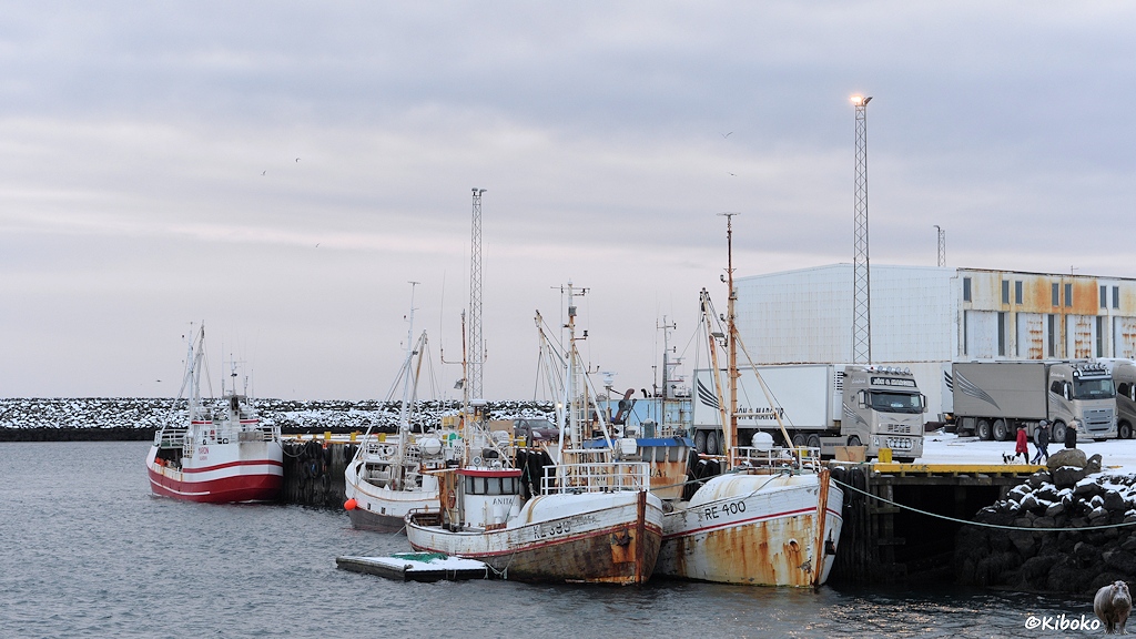 Das Bild zeigt eine Kaimauer im Hafen an der vier kleine Fischkutter liegen. Die ersten beiden Fischkutter haben starke Rostspuren am Bug. Am Hafen stehen silberne LKW mit weißen Kühlaufbauten. Dahinter ist Lagergebäude.