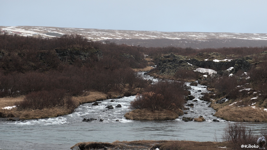 Zwei Bäche fließen in einen Fluss. An den Bächen stehen blätterlose kleine Bäume. Dazwischen sind dunkle Felsen.