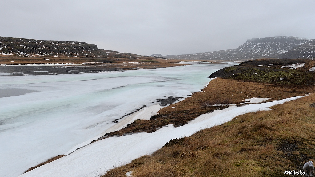 Unter einem grauen Wolkenhimmel liegt ein gefrorener Fluss. Auf dem Eis sind Wasserflächen in einem blassen Türkiston. Am Fluss sind dunkle Felsen, gelbe Wiesen und Schneereste.