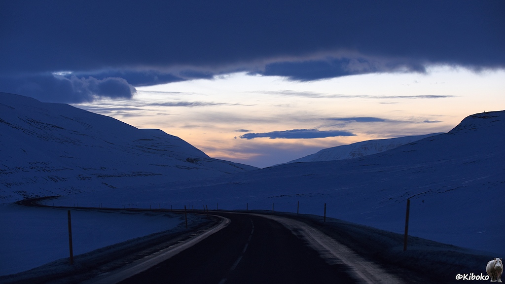 Eine Teestraße windet sich aus einem Tal einen Berghang empor. Die schneebedeckten Berge sind am frühen Morgen in blaues Licht gehüllt.