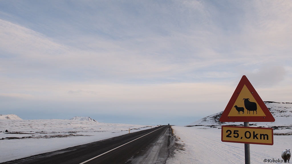 An einer geteerten Straße durch eine schneebedeckte Ebene steht ein dreieckiges Schild mit zwei Schafen. Ein Zusatzschild zeigt 25.0 km.