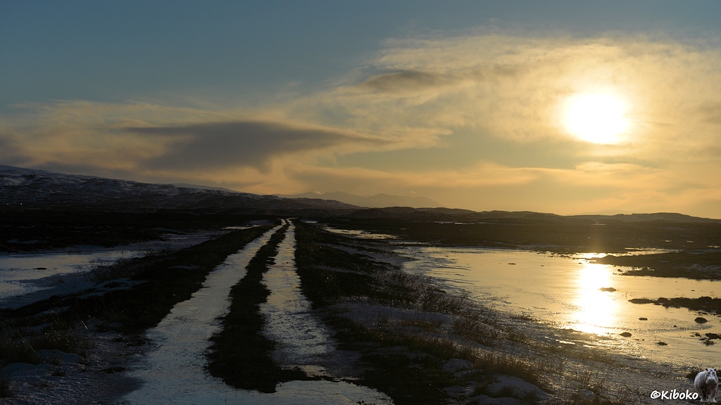 Im Gegenlicht führt ein Feldweg mit vereisten Fahrspuren in das Bild hinein. Am rechten Bildrand steht die Sonne über dem Horizont. Das Sonnenlicht wird von einem vereisten See reflektiert.
