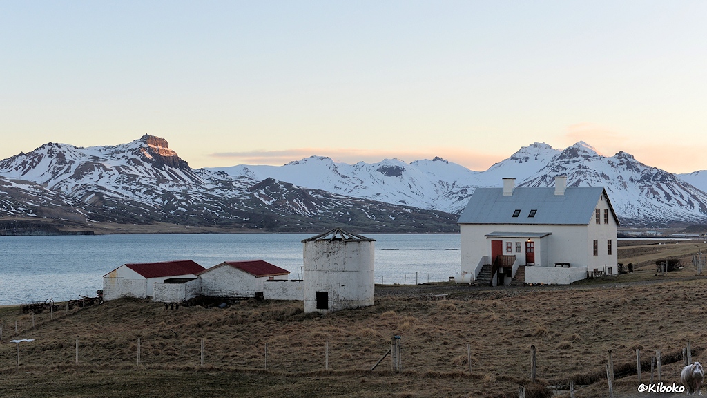 Auf einer eingezäunten Wiese ist ein weißes Einfamilienhaus, zwei weiße Nebengebäude und ein runder weißer Silo. Im Hintergrund ist ein Fjord und dahinter schneebedeckte Berge.
