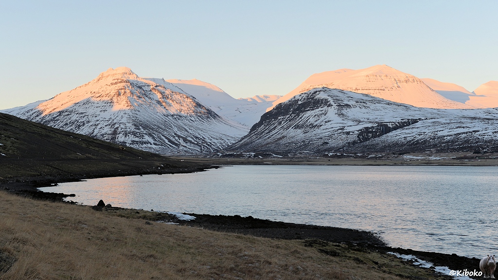 Das Ende eines Fjordes liegt im Schatten. Die schneebedeckten Spitzen der umliegenden Berge werden von der Sonne angestrahlt.