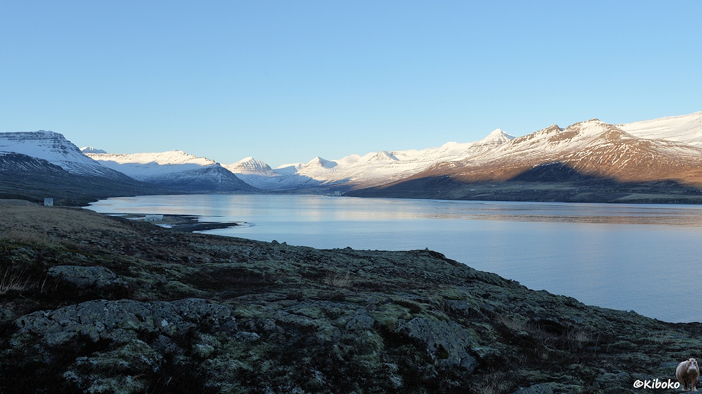 Ein breiter Fjord liegt im Schatten der Berge. Das gegenüberliegende Ufer mit schneebedeckten Bergen ist von der Sonne angestrahlt. Darauf sind die Schatten der Berge von diesem Ufer zu sehen.