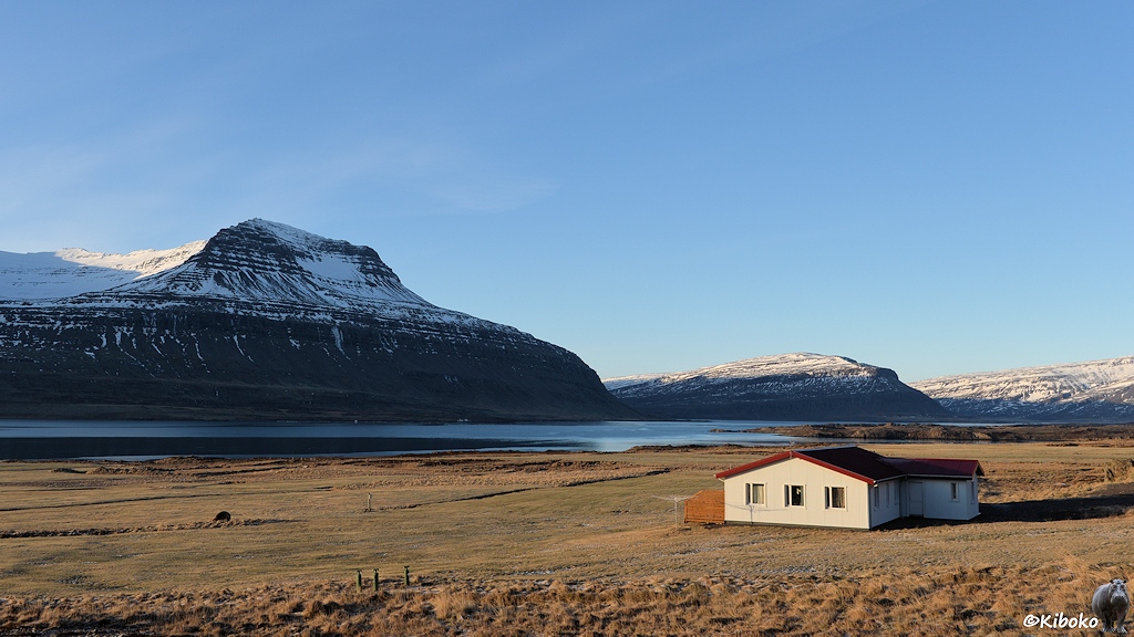Ein L-förmiges hellgraues Haus mit rotem Dach steht auf einer Wiese am Fjord. Im Hintergrund sind mehrere hohe Berge zu sehen.