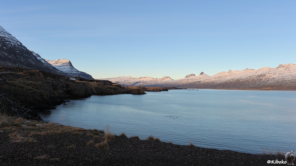 Ein Fjord mit dunkelblauem Wasser liegt im Schatten. Auf der gegenüberliegenden Seite sind schneebedeckte Berge, die von der Sonne angestrahlt werden.