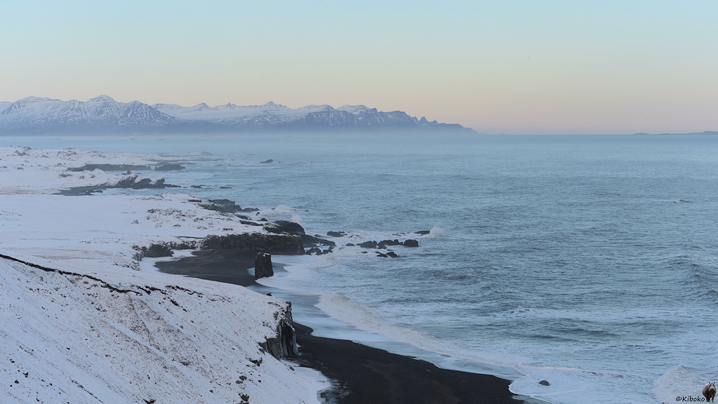 Das Bild zeigt einen Blick von einer Steilküste auf das Meer. Der Strand ist schwarz, das Meer hellblau und die schneebedeckte Landschaft ist weiß. Im Hintergrund ist eine Bucht und hohe Berge mit Gletschern zu sehen.