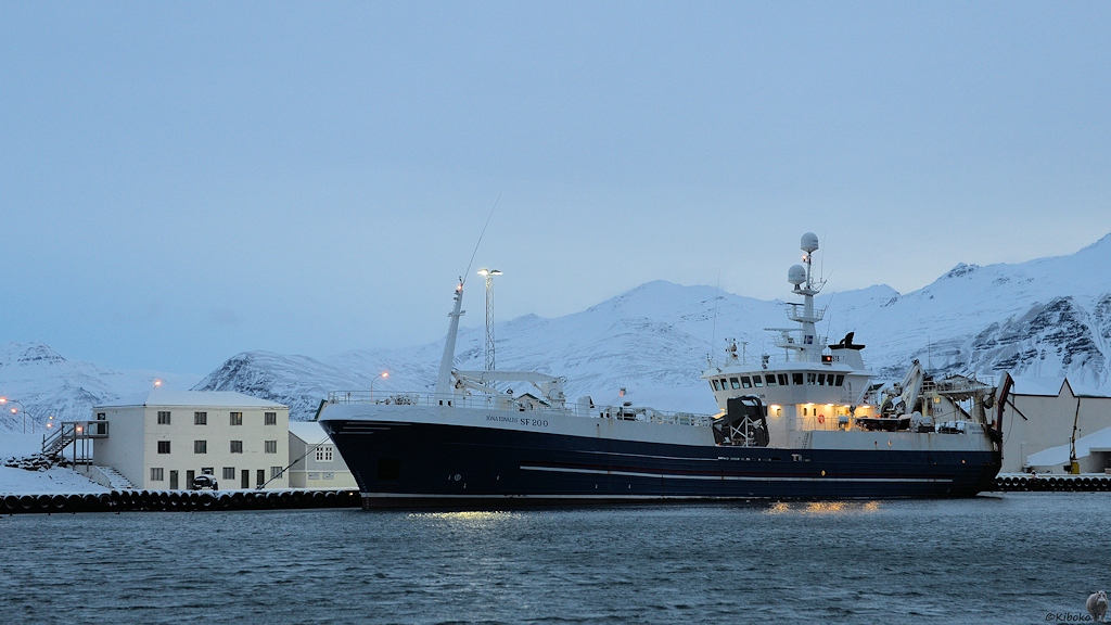 Das Bild zeigt einen großen Fischtrawler mit dunkelbauem Rumpf und weißen Aufbauten. Das Schiff liegt in einem Hafenbecken vor schneebedeckten Bergen.