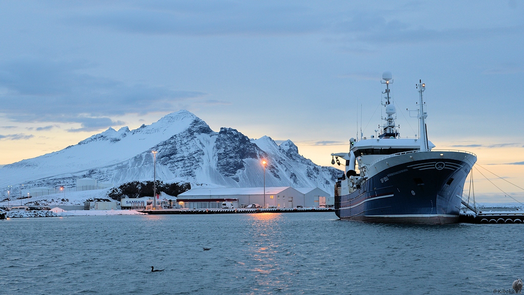 Das Bild zeigt einen modernen Fischtrawler von schräg vorn. Das Schiff hat einen dunkelblauen Rumpf und weiße Aufbauten. Es ankert am Kai. Im Hintergrund sind moderne, niedrige Lagergebäude. Dahinter ist eine verschneite Bergkette.