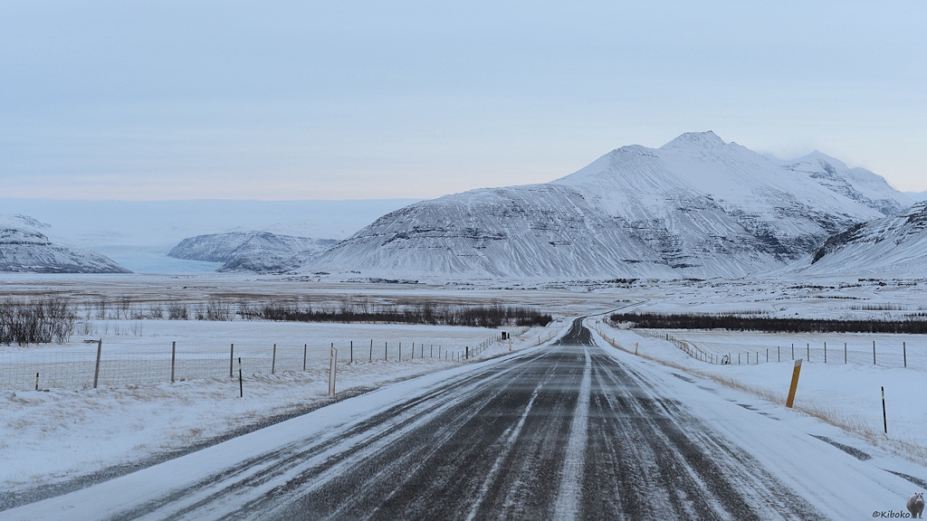 Das Bild zeigt eine verschneite Teerstraße, die geradlinig in das Bild führt. Die Straße führt auf einen schneebedeckten Berg zu. Drumherum sind verschneite Gras und Schotterflächen. Am linken Bildrand ist im Hintergrund eine Gletscherzunge aus hellblauem Eis.