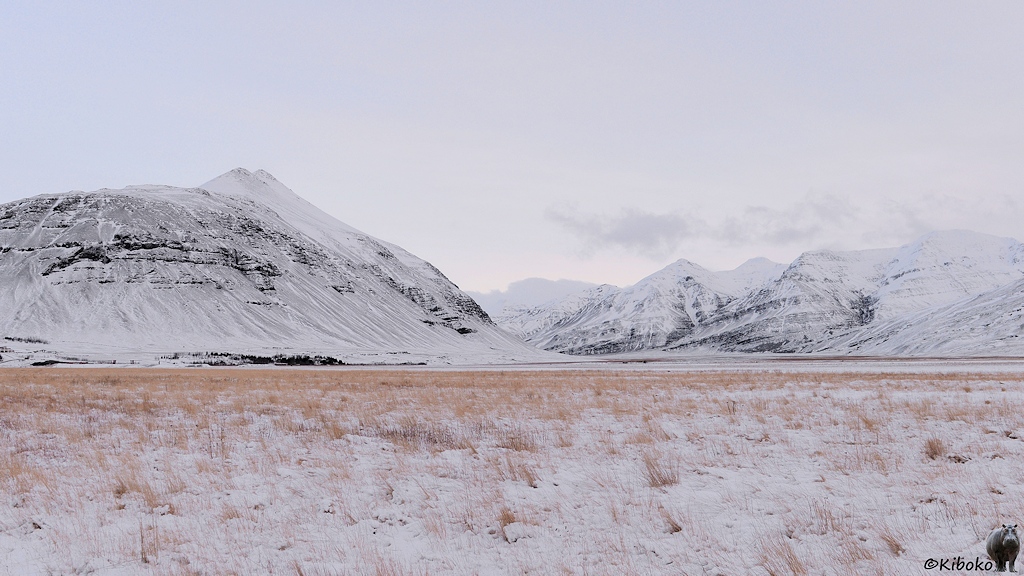 Das Bild zeigt eine verschneite Landschaft mit einer Bergkette. Im Vordergrund ist eine verschneite Wiese mit einzelnen trockenen Grasbüscheln.