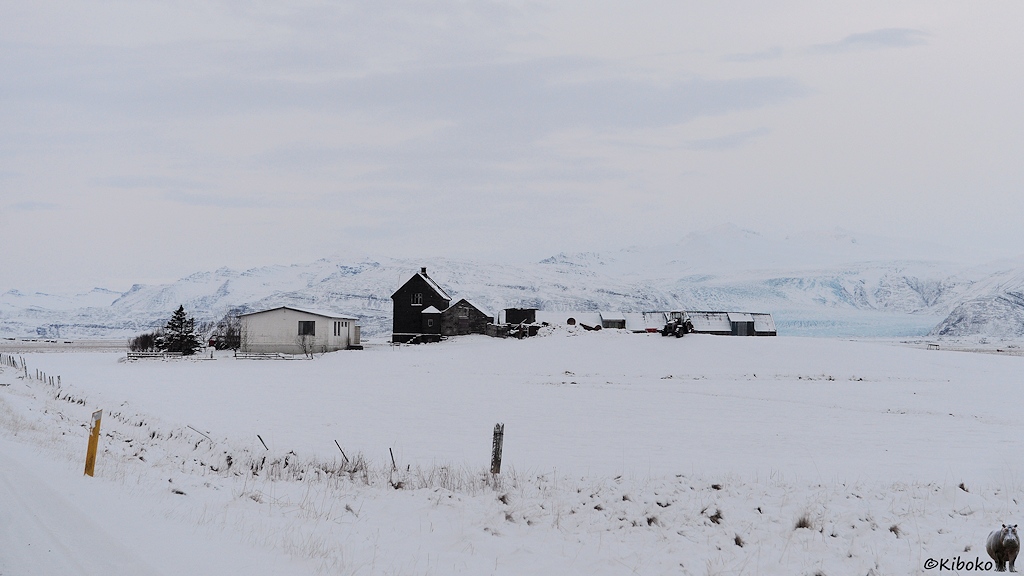 Das Bild zeigt einen Bauernhof in einer verschneiten Landschaft. Links steht ein einstöckiges, weißes Steinhaus. In der Mitte ist eine Reihe von Nebengebäuden aus dunkelbraunem Holz. Im Hintergrund ist das hellblaue Eis einer Gletscherzunge.