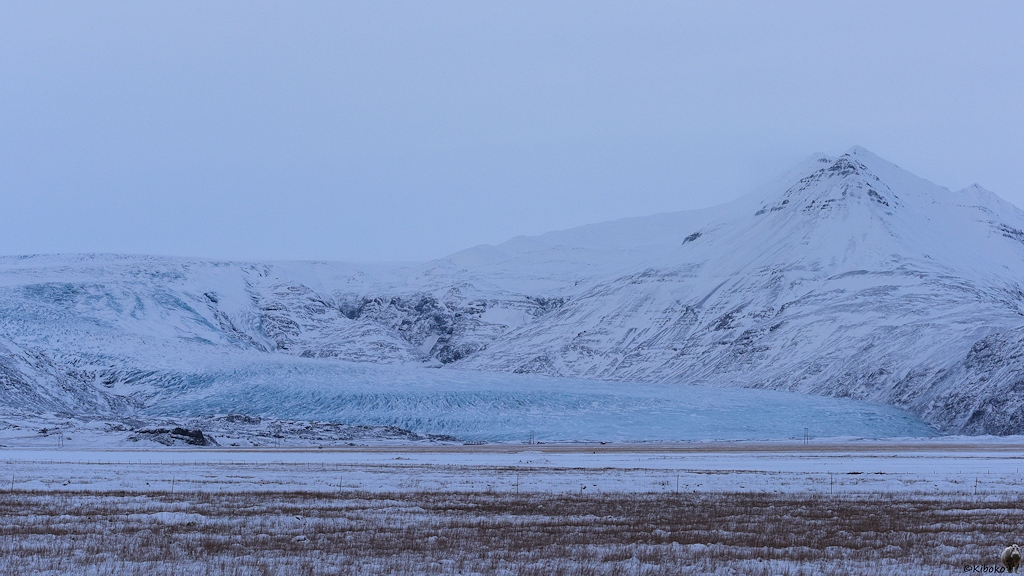 Das Bild zeigt eine verschneite Landschaft mit einem Gletscher aus hellblauem Eis. Im Vordergrund ist eine Ebene aus hohem trockenen Gras. Hinter und neben dem Gletscher sind hohe, schneebedeckte Berge.