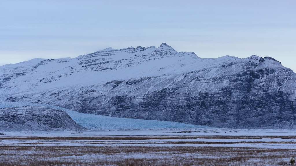 Das Bild zeigt das Ende eines hellblauen Gletschers am Übergang auf eine Grasebene. Der Gletscher ist von schwarzen Bergen eingerahmt.
