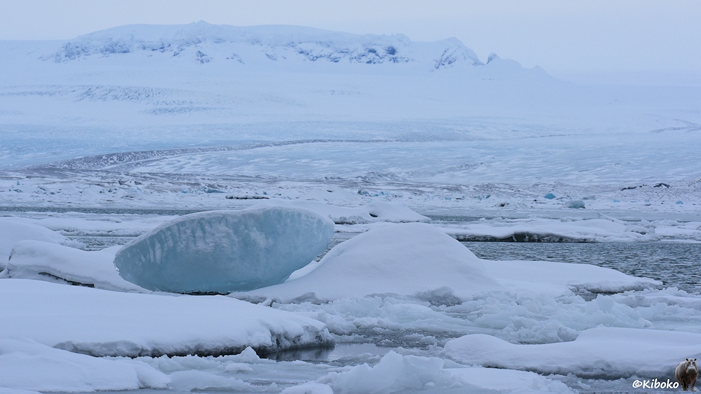 Das Bild zeigt einen bläulichen Eisblock auf einer weißen Eisscholle im Gletschersee vor einem Gletscher.