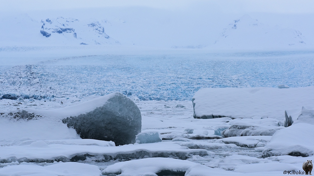 Das Bild zeigt einen dunklen Eisblock vor dem Gletscher.