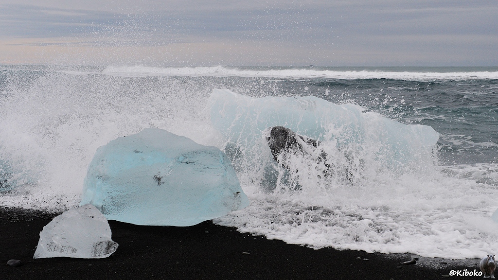 Das Bild zeigt eine Welle, die über einen Eisblock spritzt und auf zwei weitere Eisblöcke am Strand zuläuft.