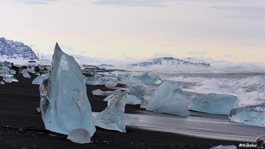 Das Bild zeigt einen hoch aufragenden hellblauen Eisklotz auf einem schwarzen Sandstrand. Im Hintergrund liegen noch viel mehr hellblaue und weiße Eisklötze.