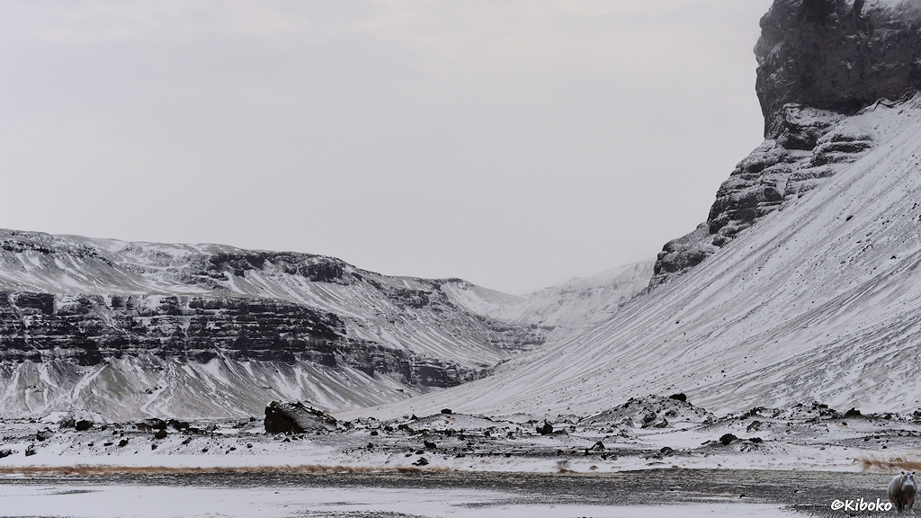 Das Bild zeigt ein Tal zwischen verschneiten schwarzen Felswänden. Ein Streifen trockene Grasbüsche im Vordergrund sind der einzige Farbtupfer.