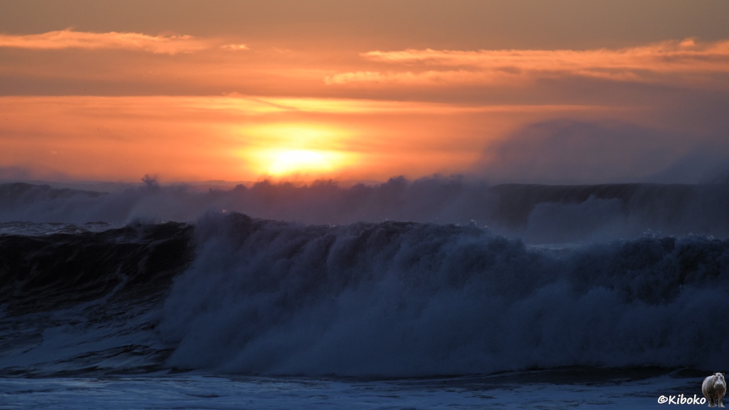 Das Bild zeigt zwei Wellenberge im Gegenlicht. Die Sonne geht hinter den Wellen auf. Der Horizont ist orange. Der Sturm schiebt die Gischt über die Wellenkämme.