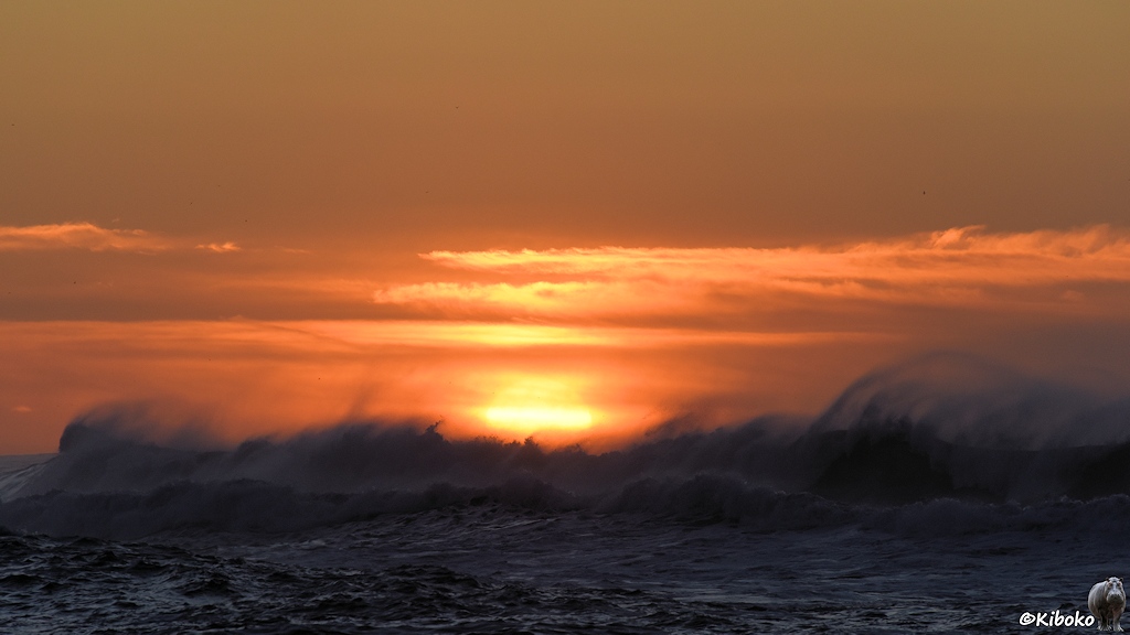 Das Bild zeigt das Meer bei Sturm während des Sonnenaufgangs mit orangenen Himmel. Der Sturm peitscht die Gischt voran.