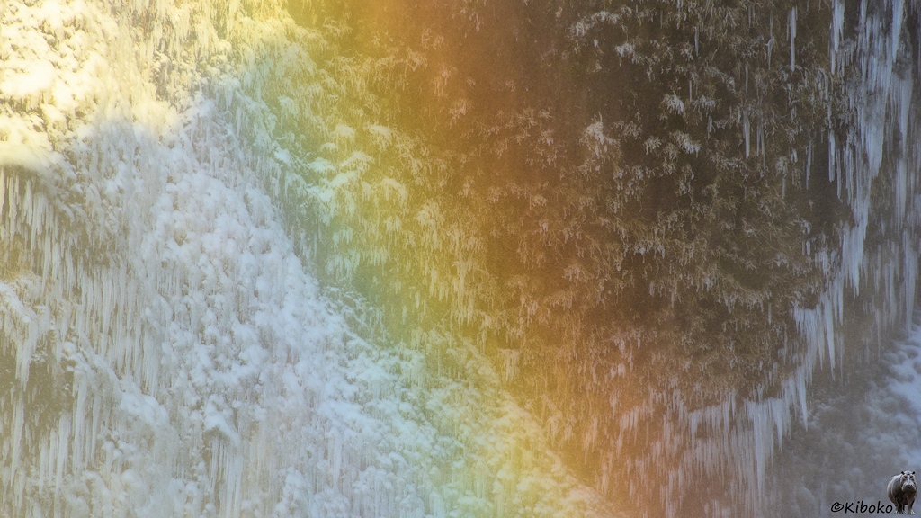 Das Bild zeigt eine Detailaufnahme der Felswand neben dem Wasserfall. Die Eiszapfen an der Felswand sind durch den Regenbogen fotografiert. Das Regenbogenfarben gehen als Streifen von oben nach unten durch das Bild. Die dahinterliegenden Eiszapfen haben die Farbe des Regenbogens.