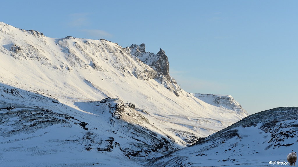 Das Bild zeigt einen schneebedeckten Berghang aus dem Felsspitzen ragen.