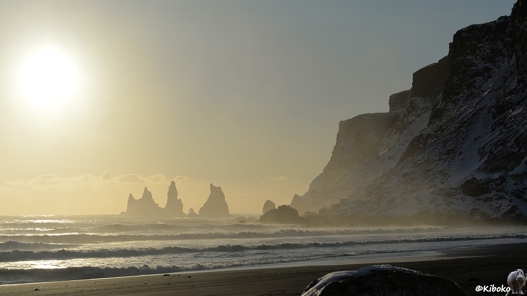 Das Bild zeigt eine Steilküste im Gegenlicht. Die Sonne ist links oben in der Bildecke. Im Wasser stehen Felsnadeln. Das Meer schiebt die Wellen an den schwarzen Strand.