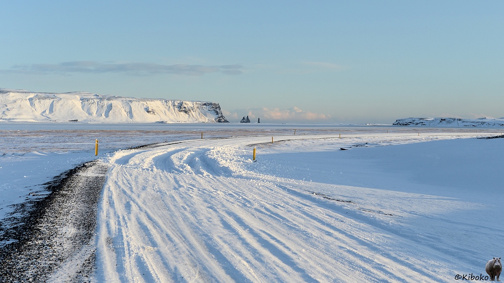 Das Bild zeigt eine verschneite Straße in einer Rechtskurve. In der Kurve ist eine Schneewehe, mit tiefen Fahrspuren. Im Hintergrund ist eine verschneiter Tafelberg mit schwarzen Felsen an der Küste.