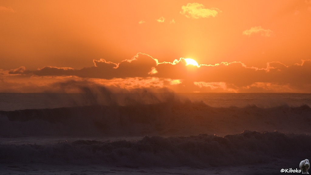 Das Bild zeigt zwei sich brechende Wellen gegen die Sonne. Der Himmel leuchtet orange. Die Sonne versteckt sich gerade hinter einem schmalen Wolkenband. Die Gischt an den Wellenkämmen stiebt in die Höhe.