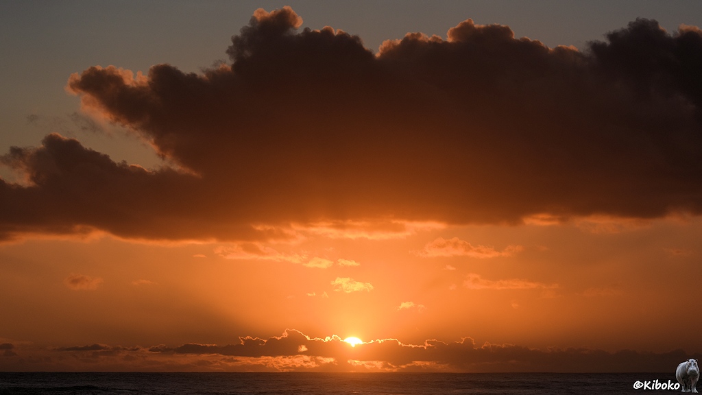 Das Bild zeigt eine Weitwinkelaufnahme bei Sonnenuntergang. In der oberen Hälfte dominiert eine große schwarze Wolke, die von unten und hinten von der Sonne angestrahlt wird. Unten im Bild ist ein schmaler Streifen dunkler Ozean. Darüber ist ein schmales Wolkenband. Sie Sonne ist halb über dem Wolkenband und taucht den Himmel in oranges Licht.