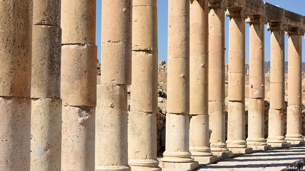 12 Säulen im Detail