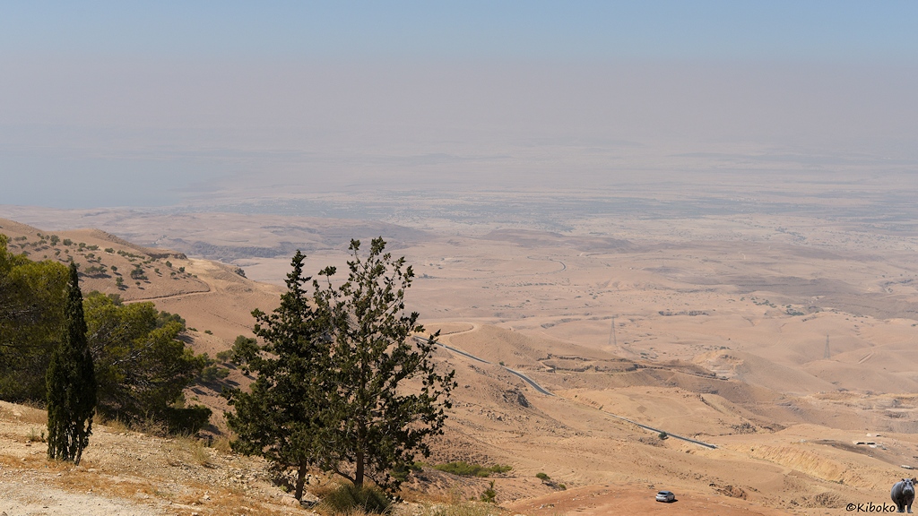 Blick ins Jordantal vom Berg Nebo