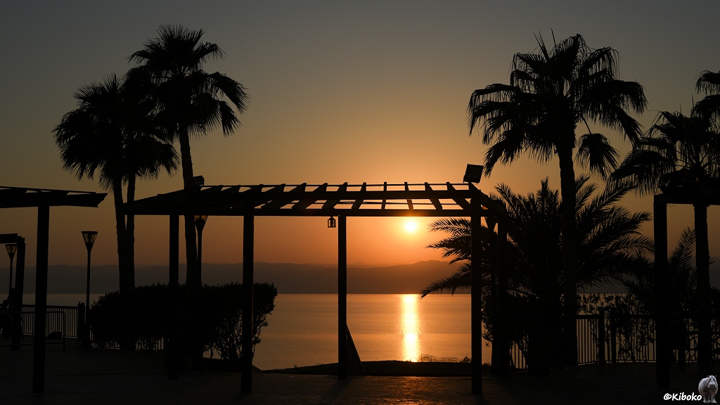 Sonnenuntergang mit Palmen und Holzkonstruktion
