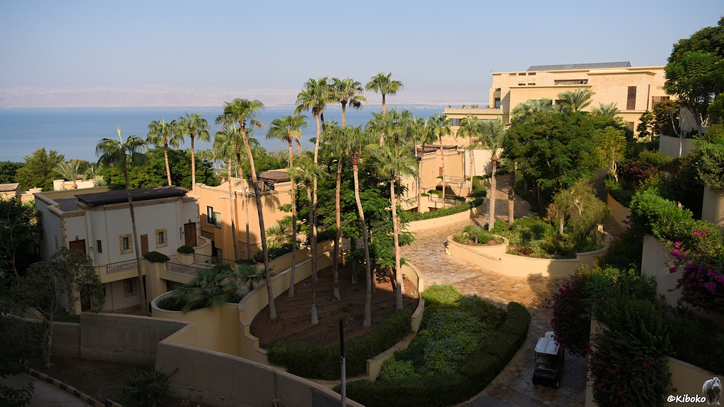 Parkähnliche Hotelanlage mit Palmen