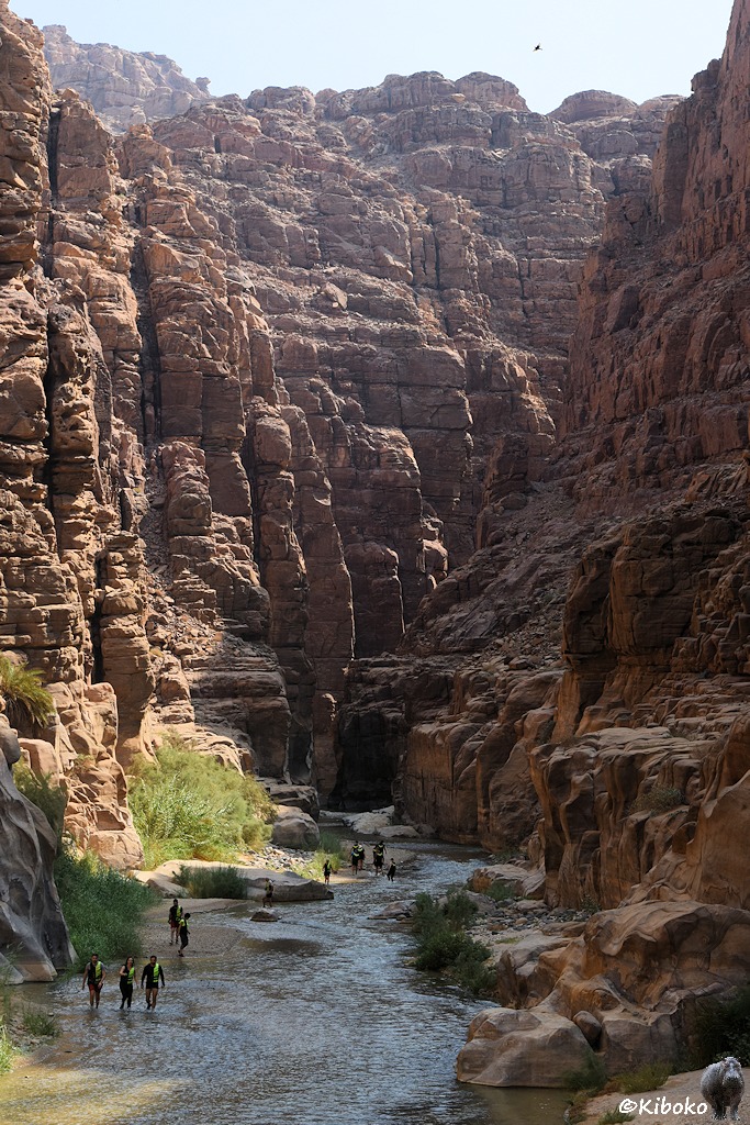 Hochformataufnahme mit Flußlauf im Canyon