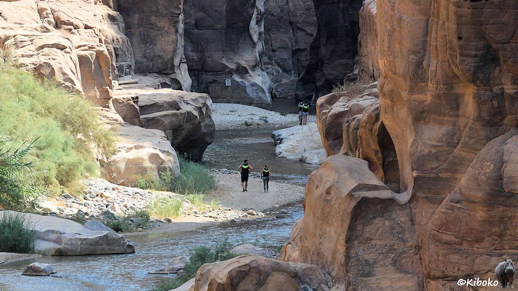 Menschen laufen im und am Fluss im Canyon