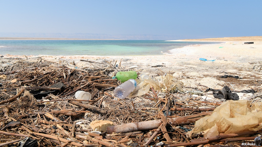 Plastikflaschen am Toten Meer