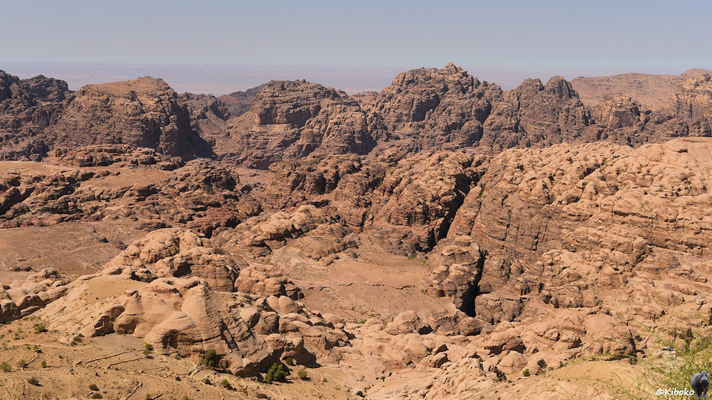 Felsenmeer mit Stadtzentrum von Petra