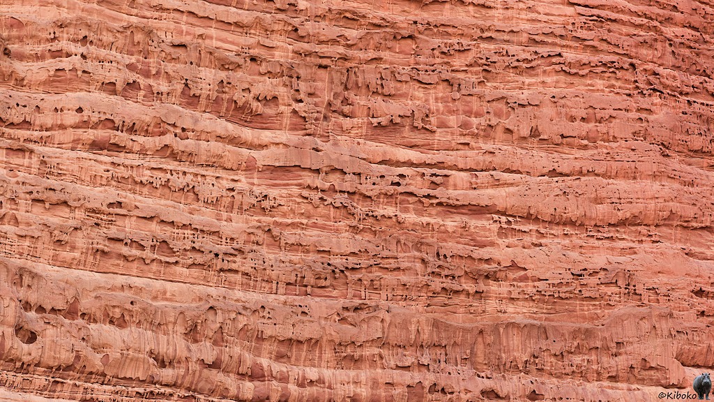 Strukturen im Sandstein durch Erosion