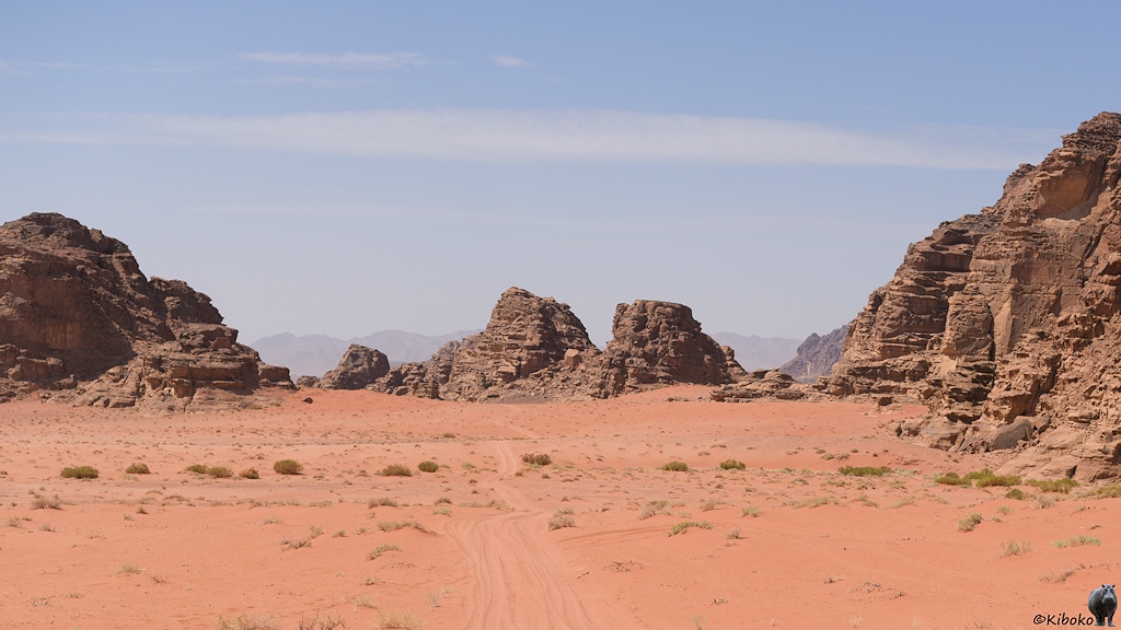 Rosarote Sandwüste umgeben von Felsformationen